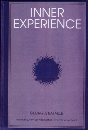 Inner Experience