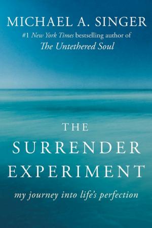 The Surrender Experiment